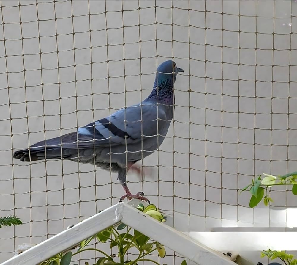 Bird Net installation Mumbai – Arihant Enterprises